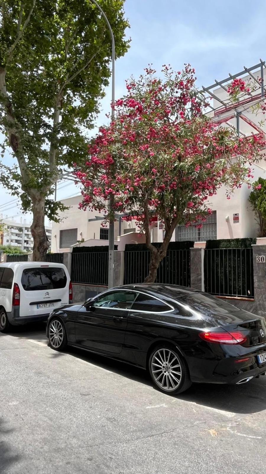 Apartment A 30 Metro De La Playa Con Piscina Y Garaje En La Carihuela